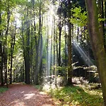 Pensjonat Landgasthof Hirschen