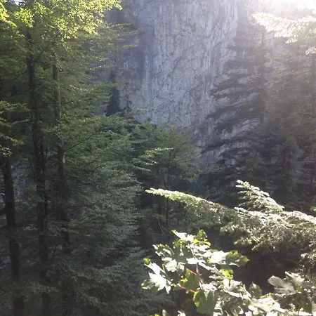 Landgasthof Hirschen 2*