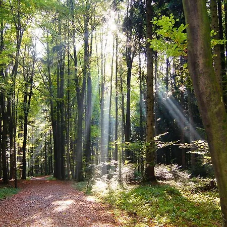 Gæstehus Landgasthof Hirschen