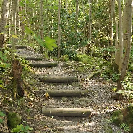 Landgasthof Hirschen Gæstehus