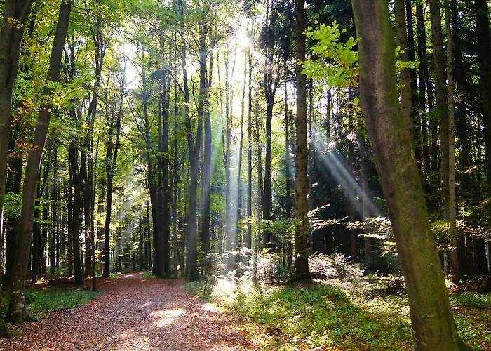 Penzion Landgasthof Hirschen